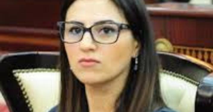 “Bu dinləmələr anti-azərbaycan planının tərkib hissəsidir”